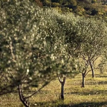 Robinson House Orkula In The Heart Of Olive's Yard