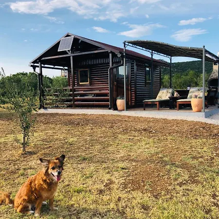 Robinson House Orkula In The Heart Of Olive's Yard