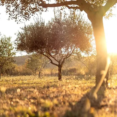 Robinson House Orkula In The Heart Of Olive's Yard Сasa de vacaciones *