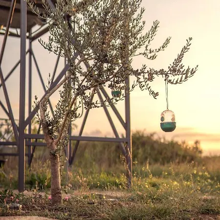 Сasa de vacaciones Robinson House Orkula In The Heart Of Olive's Yard