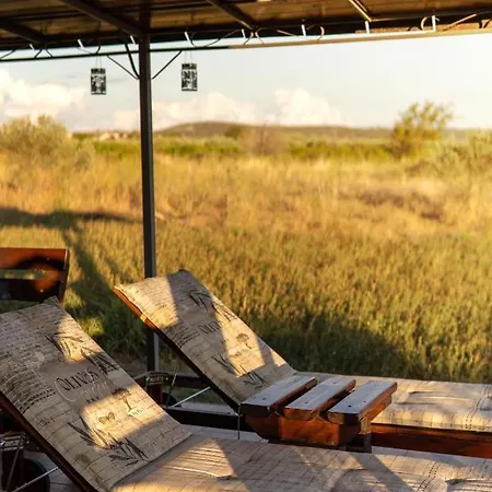 Robinson House Orkula In The Heart Of Olive's Yard * Puticanje