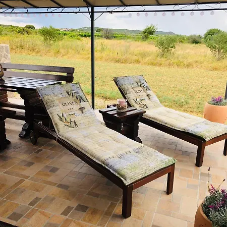 Robinson House Orkula In The Heart Of Olive's Yard Vakantiehuis Puticanje