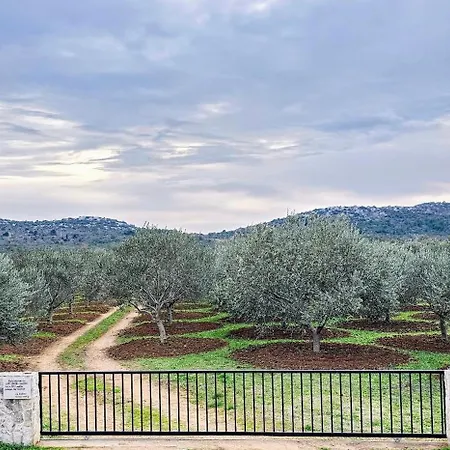 Robinson House Orkula In The Heart Of Olive's Yard * Puticanje