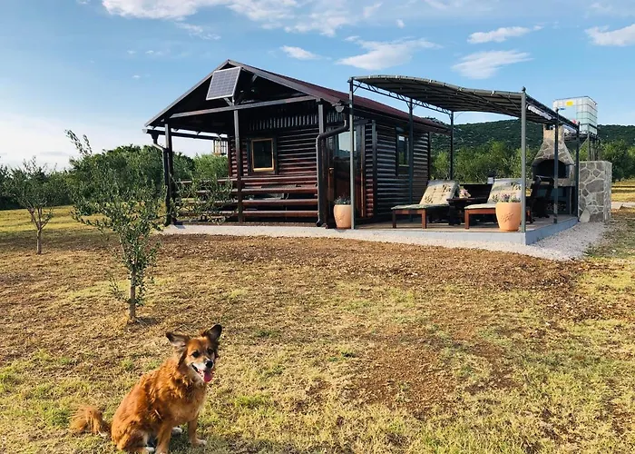 Robinson House Orkula In The Heart Of Olive's Yard