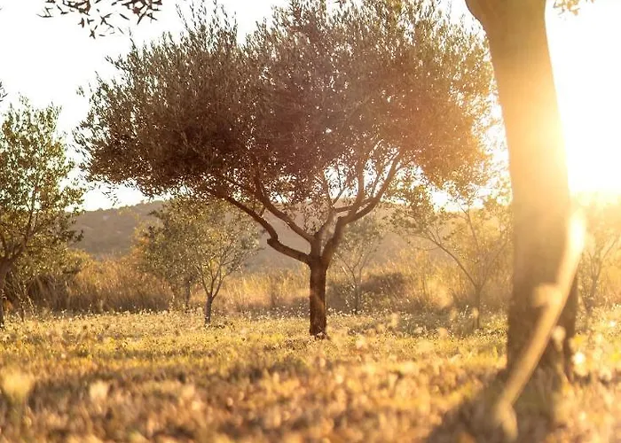 Robinson House Orkula In The Heart Of Olive's Yard Feriehus *