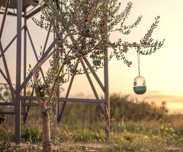 Feriehus Robinson House Orkula In The Heart Of Olive's Yard