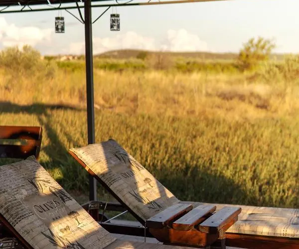 Robinson House Orkula In The Heart Of Olive's Yard * Puticanje