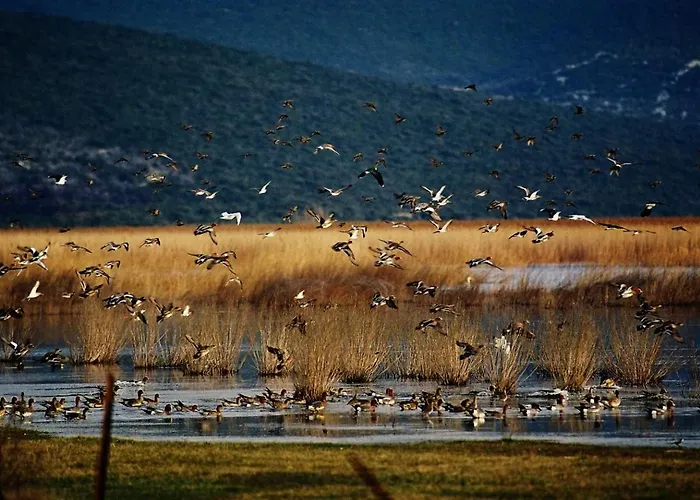 Robinson House Orkula In The Heart Of Olive's Yard * Puticanje