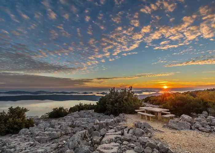 Vikendica Robinson House Orkula In The Heart Of Olive's Yard
