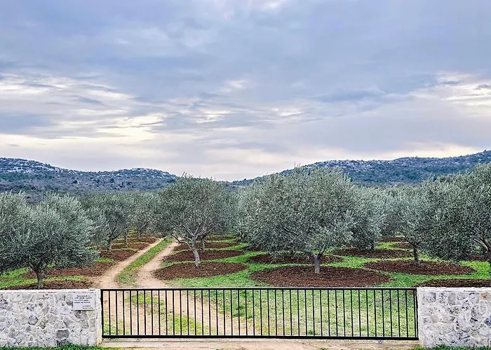 Robinson House Orkula In The Heart Of Olive's Yard * Puticanje